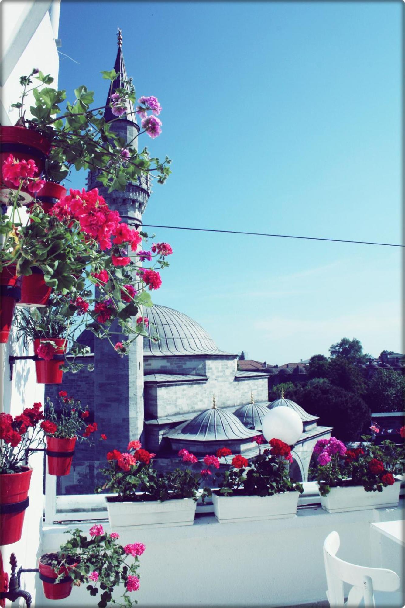 איסטמבול No20 Hotel Sultanahmet מראה חיצוני תמונה